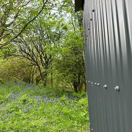 Cornwall Woodland Shepherd'S Hut - Dennis Hut Bodmin Esterno foto