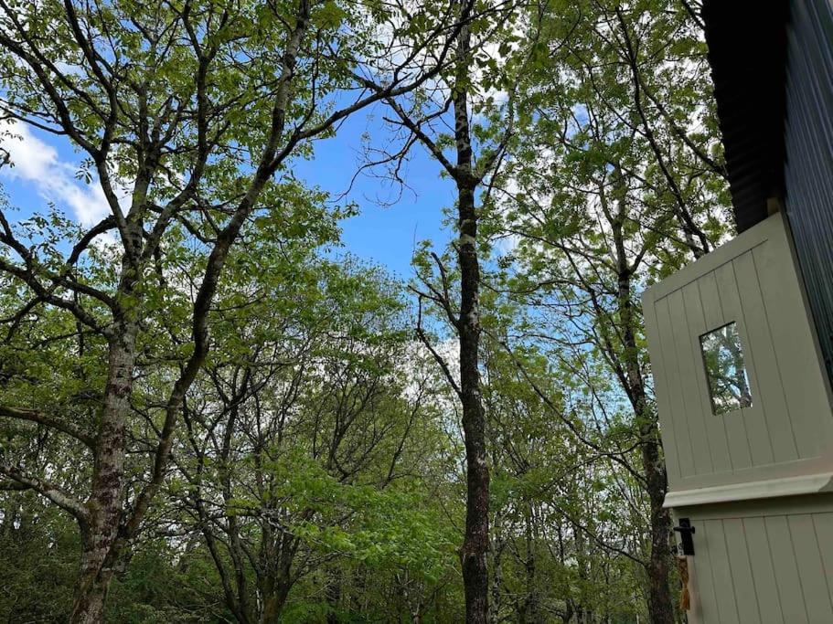 Cornwall Woodland Shepherd'S Hut - Dennis Hut Bodmin Esterno foto