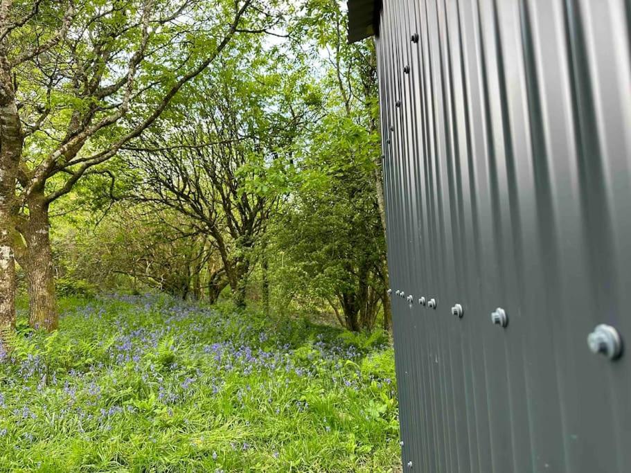 Cornwall Woodland Shepherd'S Hut - Dennis Hut Bodmin Esterno foto