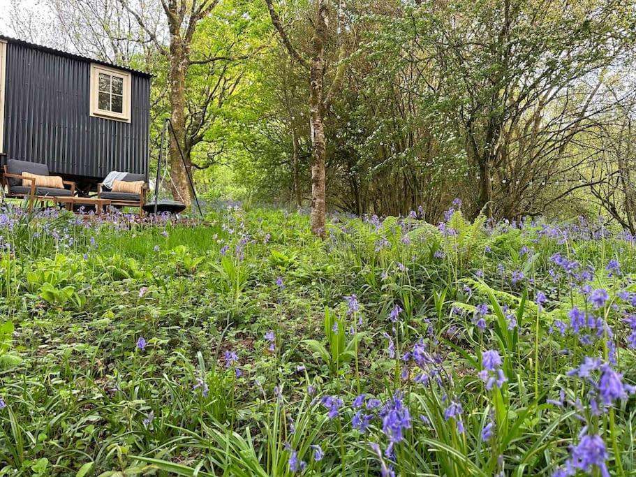 Cornwall Woodland Shepherd'S Hut - Dennis Hut Bodmin Esterno foto