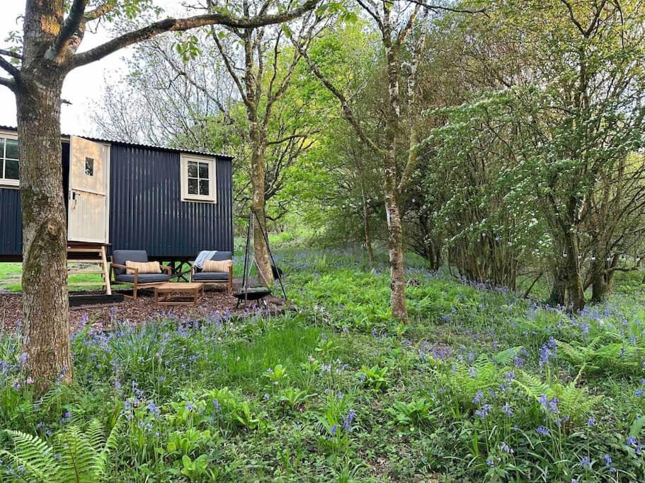 Cornwall Woodland Shepherd'S Hut - Dennis Hut Bodmin Esterno foto