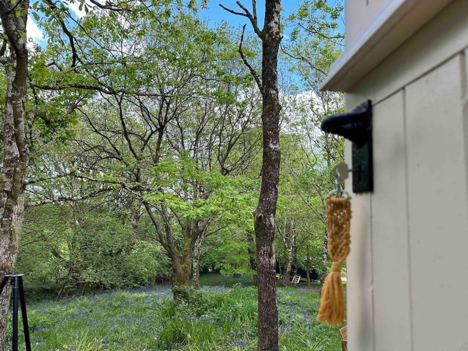 Cornwall Woodland Shepherd'S Hut - Dennis Hut Bodmin Esterno foto