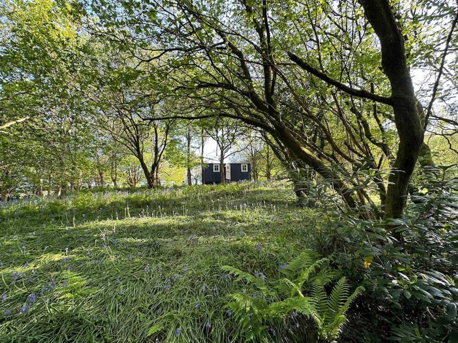 Cornwall Woodland Shepherd'S Hut - Dennis Hut Bodmin Esterno foto